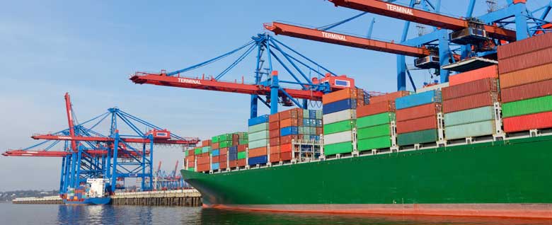 Ocean Shipment Software - Import Foods