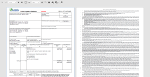 custom invoice - Comercio Exterior y Aduanas, REGULACIONES ADUANALES